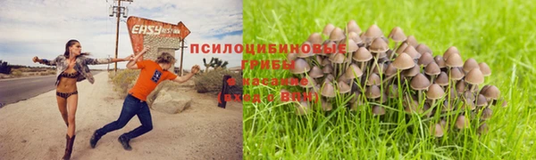 ALPHA-PVP Куйбышев