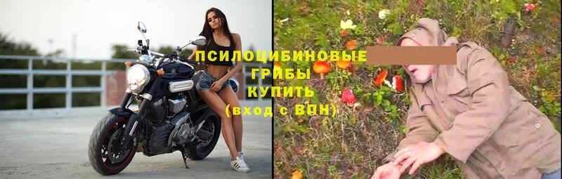 hydra ссылки  Копейск  это как зайти  Псилоцибиновые грибы MAGIC MUSHROOMS 