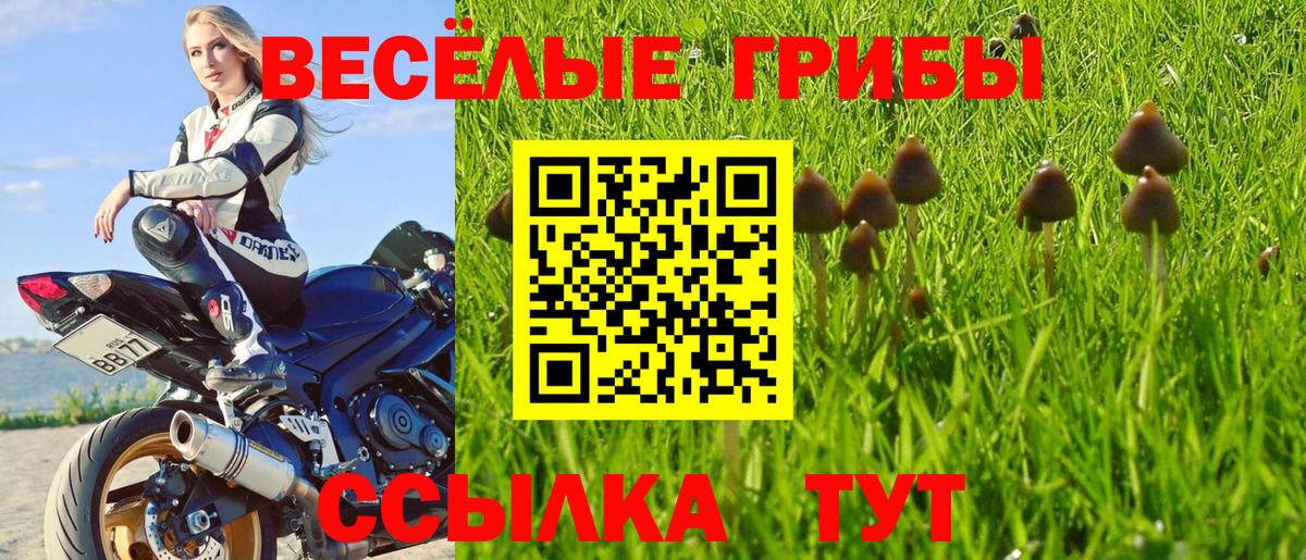Псилоцибиновые грибы Magic Shrooms Копейск