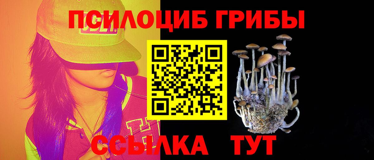 Копейск  Галлюциногенные грибы ЛСД  Вход с VPN  Галлюциногенные грибы Psilocybe 